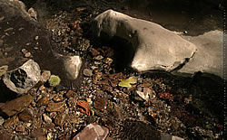 2560 x 1600 Zuggaramurdi Photo Wallpaper